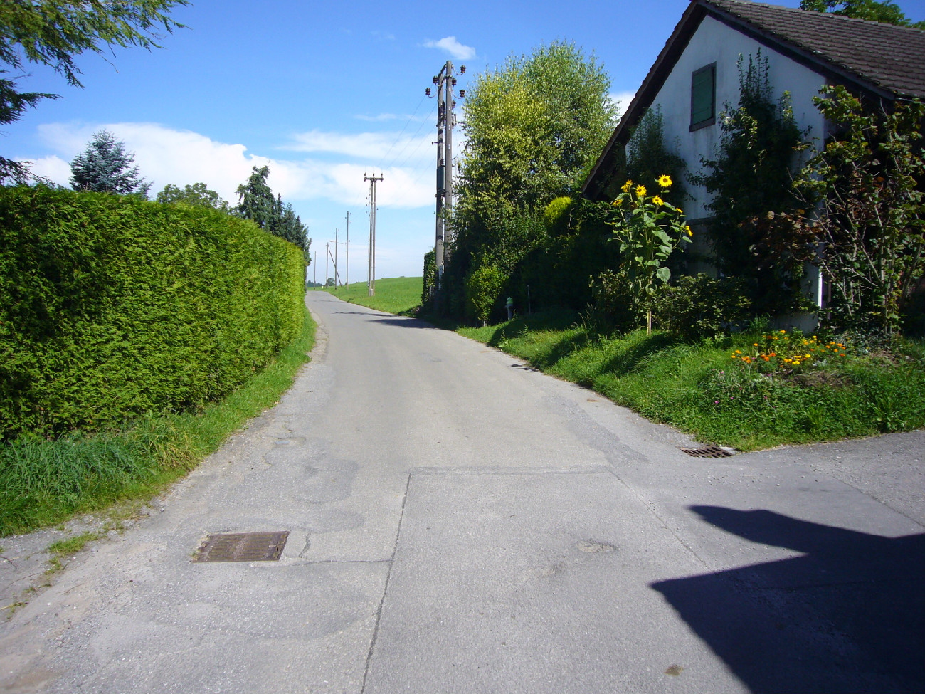 Wasserleitung Waggitalstrasse, 8820 Wädenswil