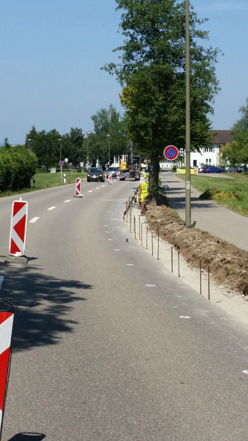 Altrüti- / Bubikerstrasse, 8625 Gossau ZH